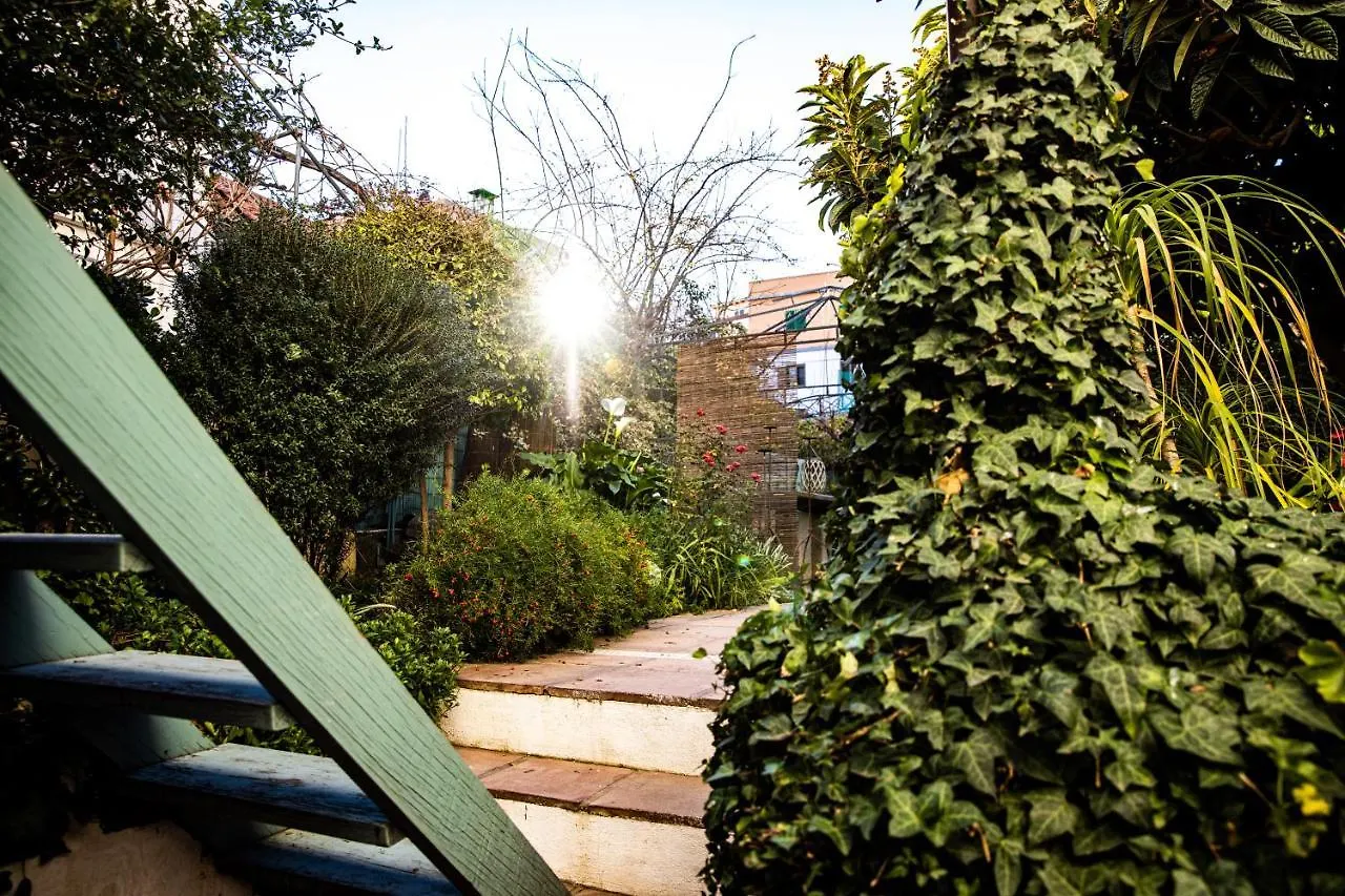 The Lemon Tree Appartement Vilaflor Spanje